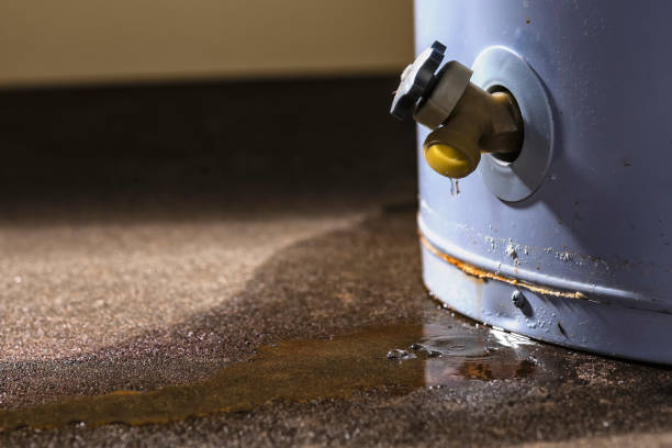 Best Water damage restoration near me  in Reidland, KY