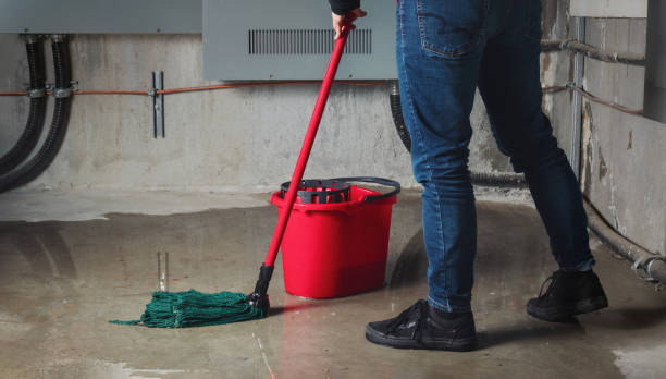 Best Water damage restoration mold remediation  in Reidland, KY