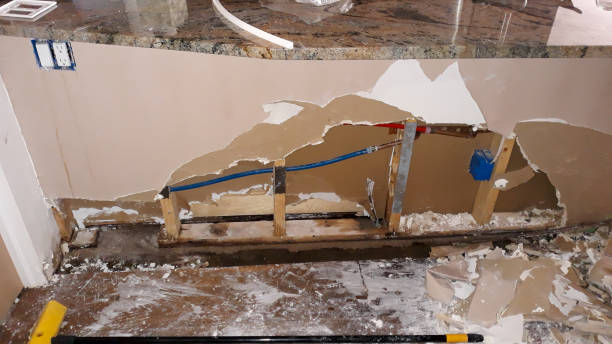 Best Carpet water damage restoration  in Reidland, KY