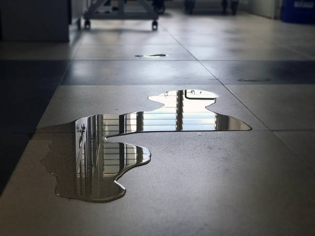 Best 24/7 water damage repair  in Reidland, KY
