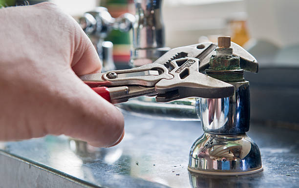 Best Mold removal after water damage  in Reidland, KY