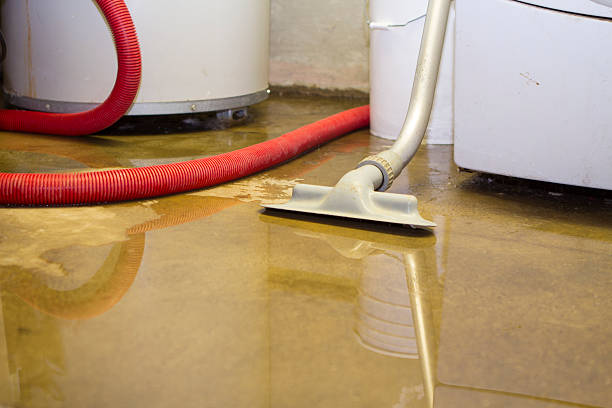 Best Ceiling water damage repair  in Reidland, KY