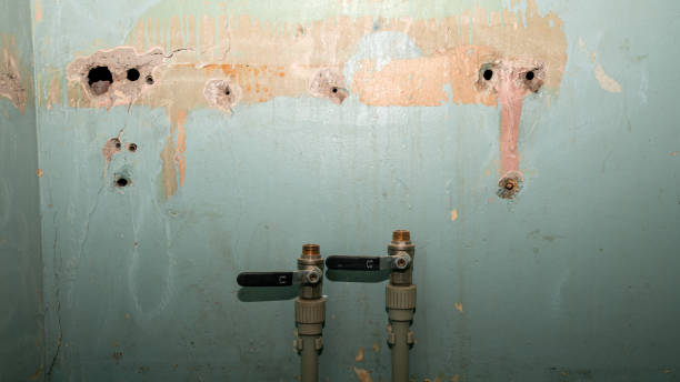 Water damage restoration mold remediation in KY