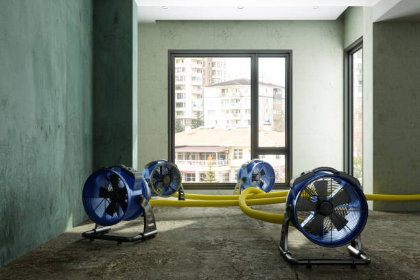Best Ceiling water damage repair  in Reidland, KY