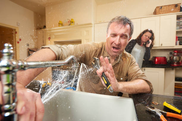 Best Water damage restoration process  in Reidland, KY